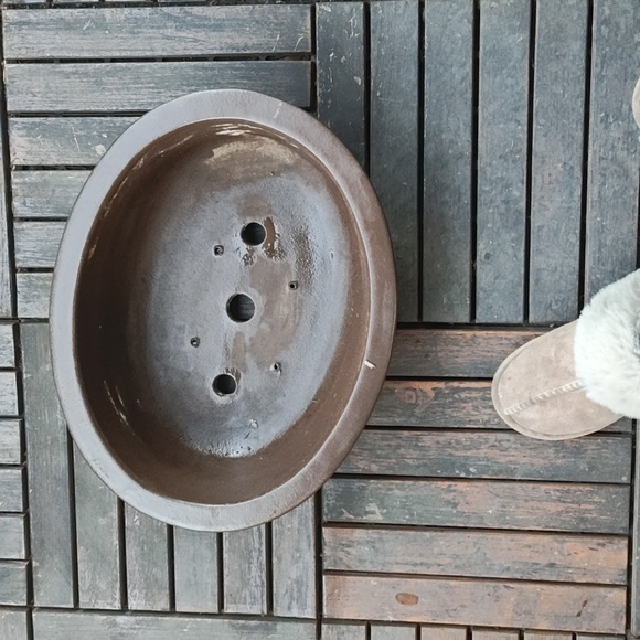 Other - Large Bonsai Pot planter-oval Shape